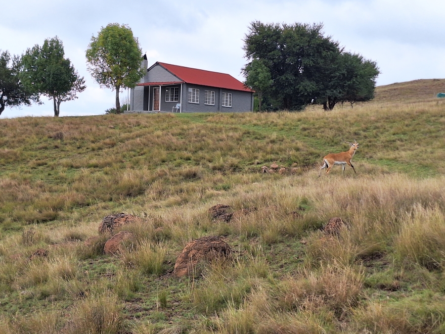 11 Bedroom Property for Sale in Vrede Free State